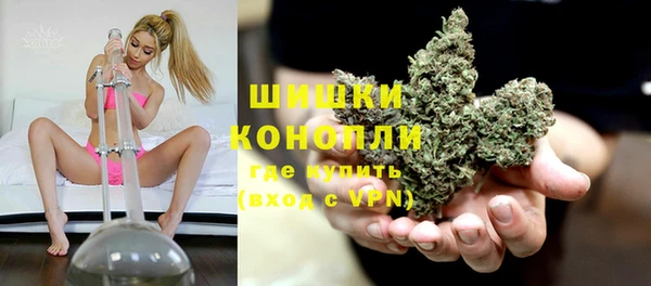 мяу мяу мука Бородино